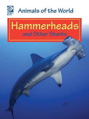 cover image of Hammerheads and Other Sharks